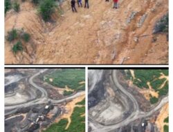 Ketua Umum AKPERSI Bongkar Fakta Lapangan: Aktivitas Tambang Diduga Berjalan di Atas Lahan Petani, PT Berau Coal Klaim Belum Digunakan   