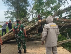 Gerak Cepat Kanit Intel Polsek Pebayuran Bersama TNI Pimpin Evakuasi Pohon Tumbang di Karangpatri