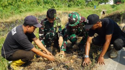 TMMD Ke-129 Tanam Pohon Bersama Warga, Bangun Kesadaran Menjaga Ekosistem Sejak dari Desa
